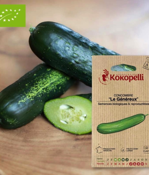 Graines bio à semer -...