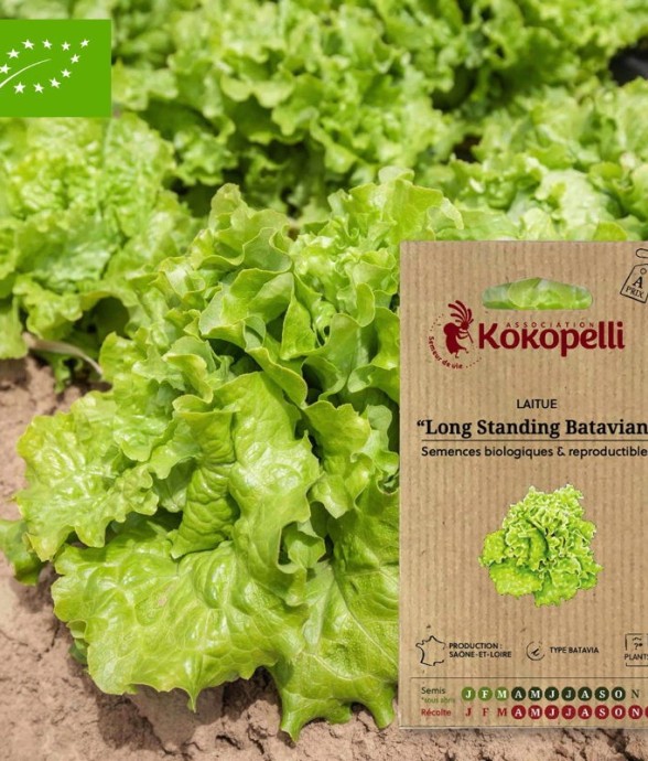 Graines bio à semer -...