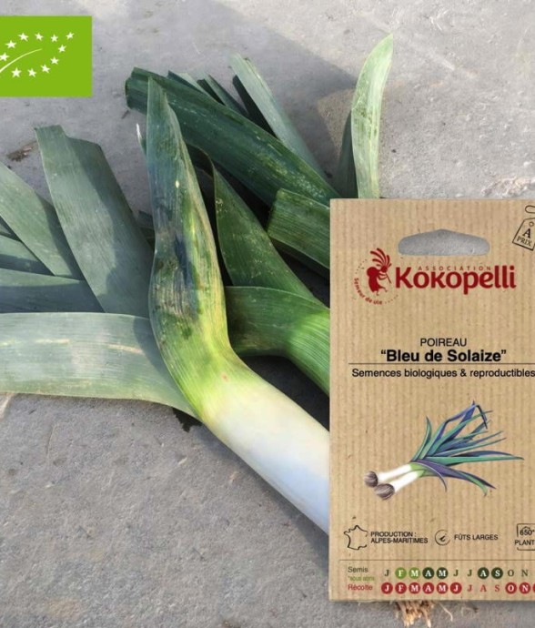 Graines bio à semer -...