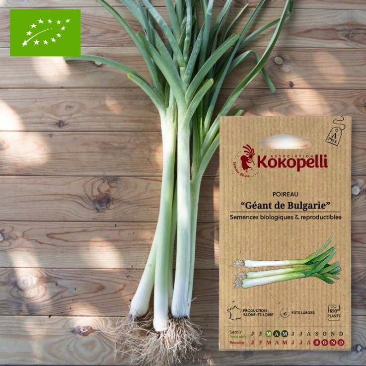 Graines bio à semer - Poireau Géant de Bulgarie