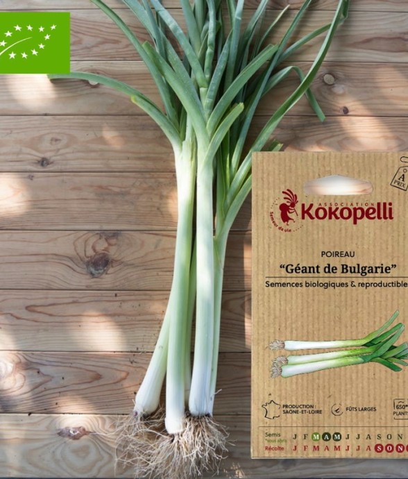 Graines bio à semer -...