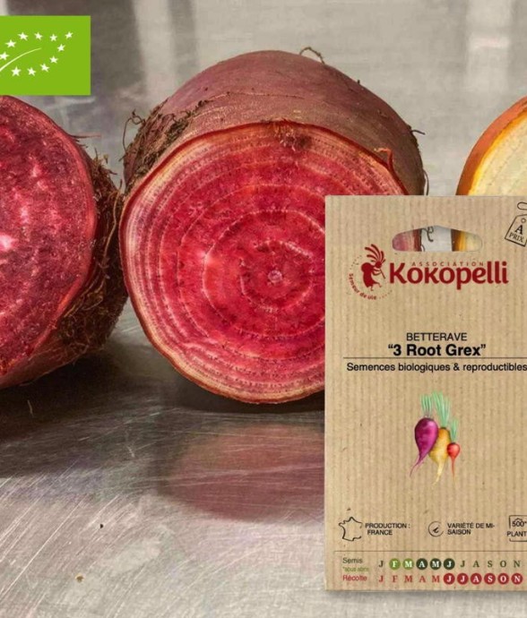 Graines bio à semer -...