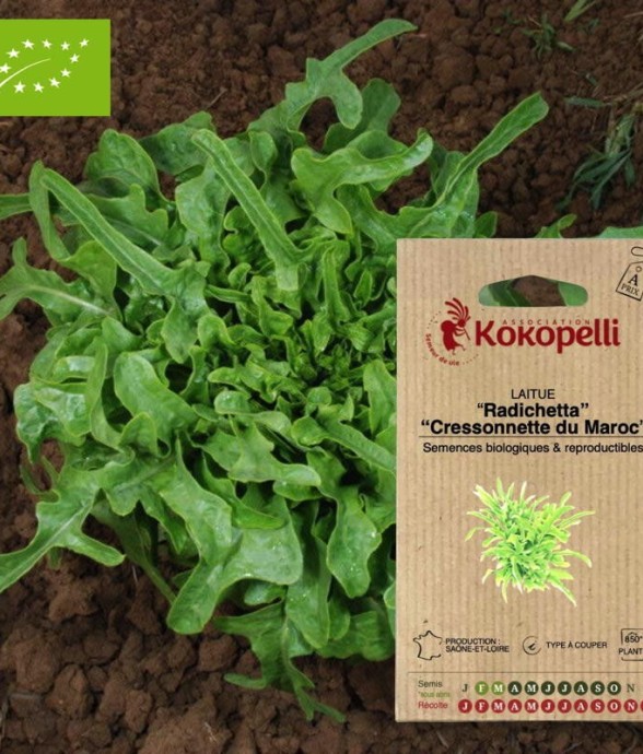 Graines bio à semer -...