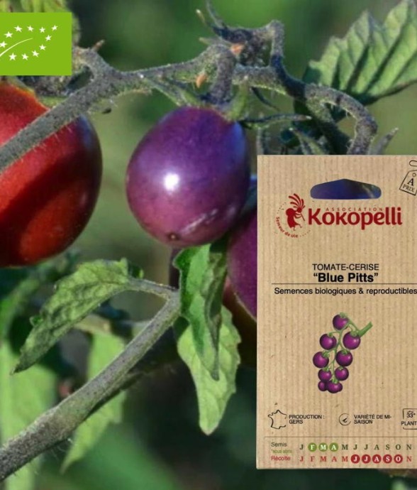 Graines bio à semer -...