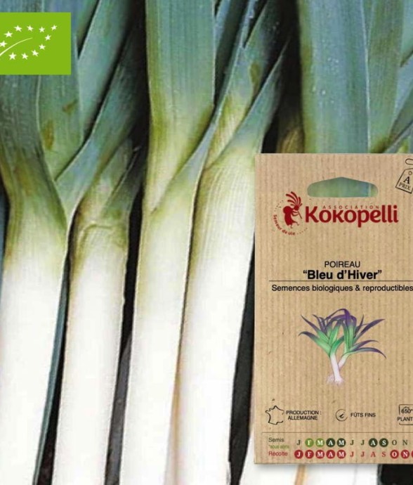 Graines bio à semer -...