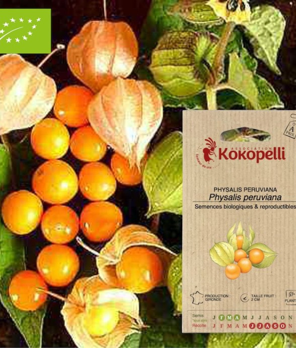 Graines bio à semer -...