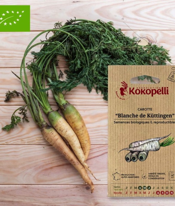 Graines bio à semer -...