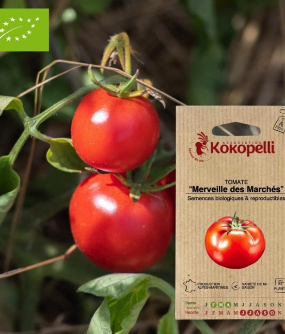 Graines bio à semer -...