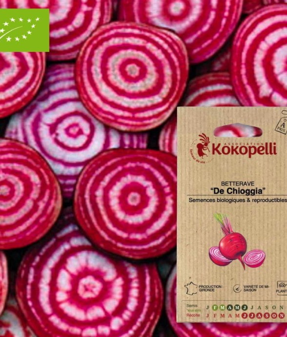 Graines bio à semer -...