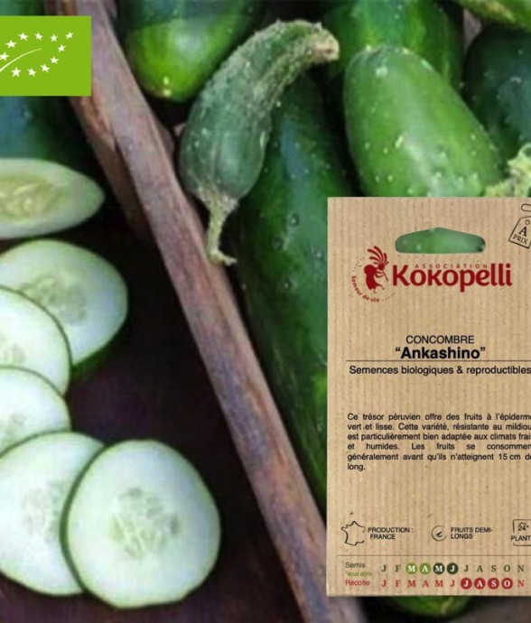 Graines bio à semer -...