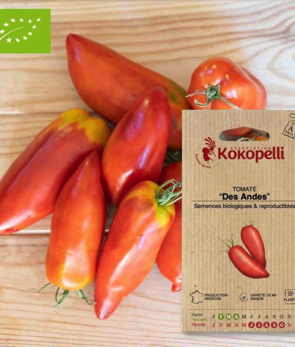 Graines bio à semer -...