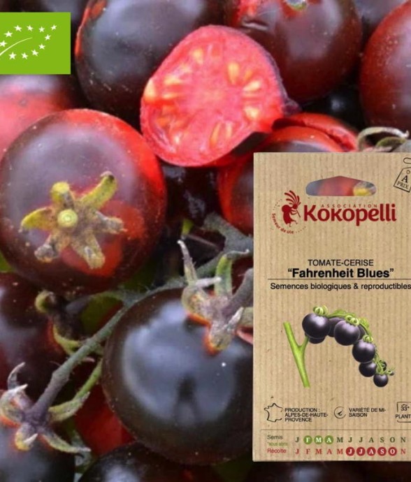 Graines bio à semer -...