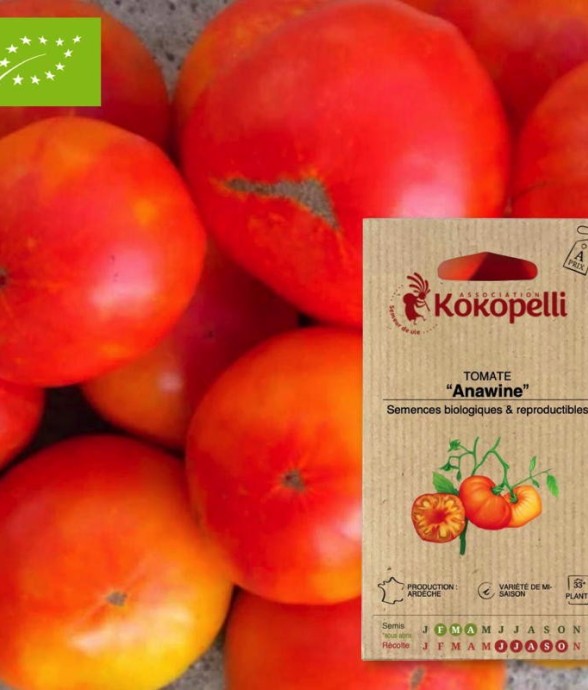 Graines bio à semer -...