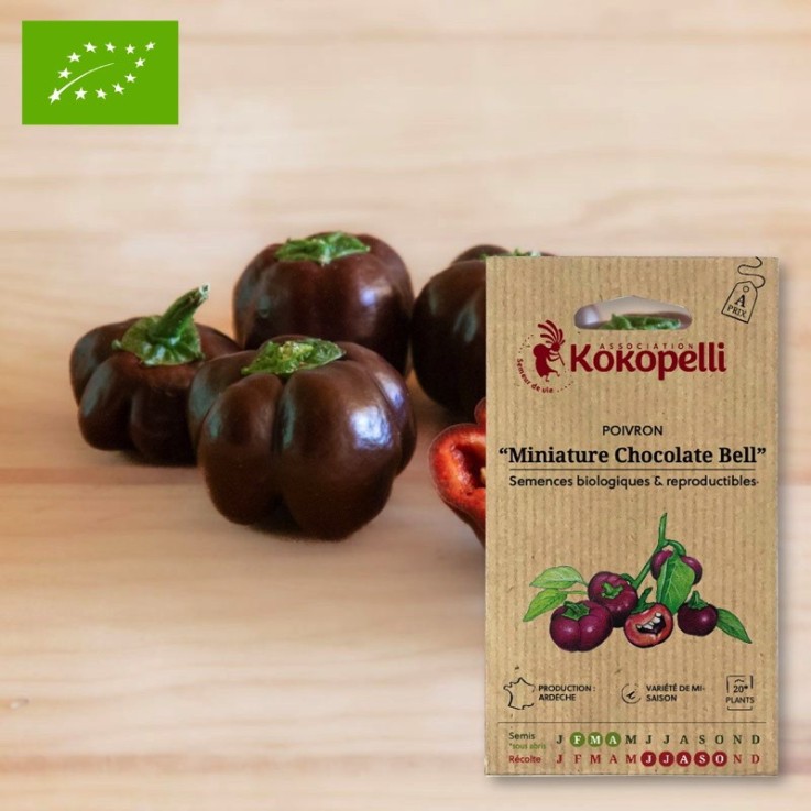 Graines bio à semer - Poivron Miniature Chocolate Bell