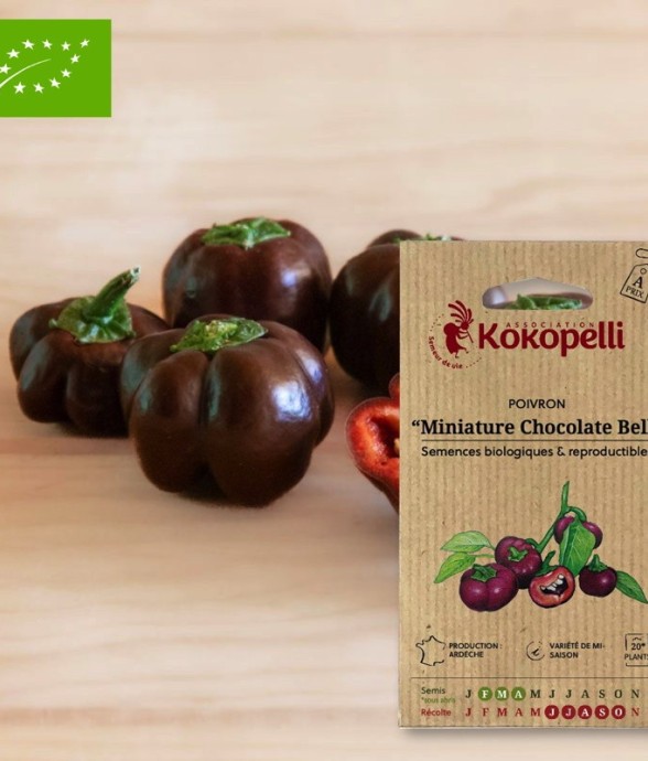 Graines bio à semer -...