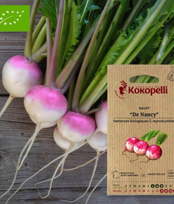 Graines bio à semer - Navet...