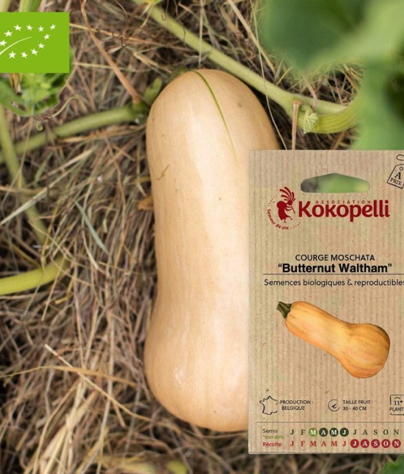 Graines bio à semer -...