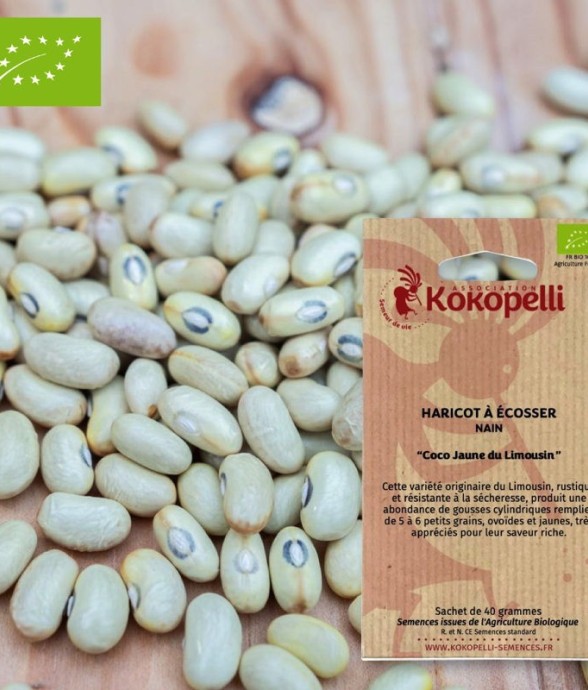 Graines bio à semer -...