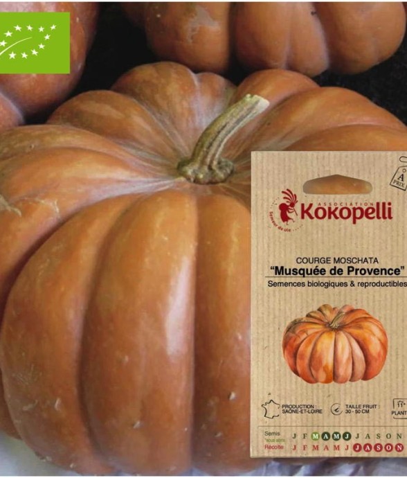 Graines bio à semer -...