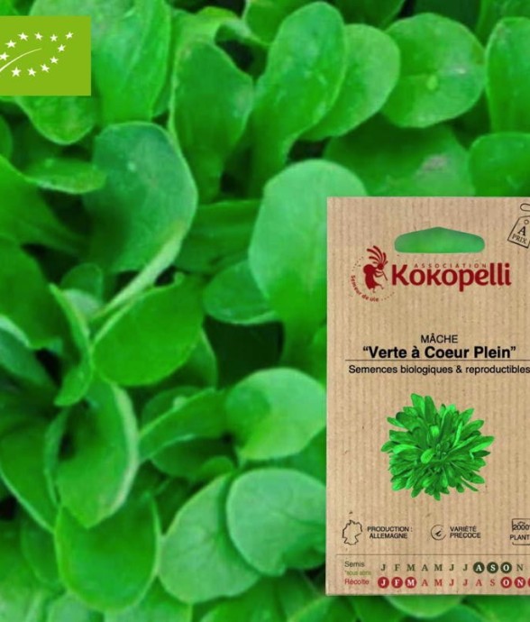 Graines bio à semer - Mâche...