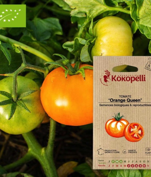 Graines bio à semer -...