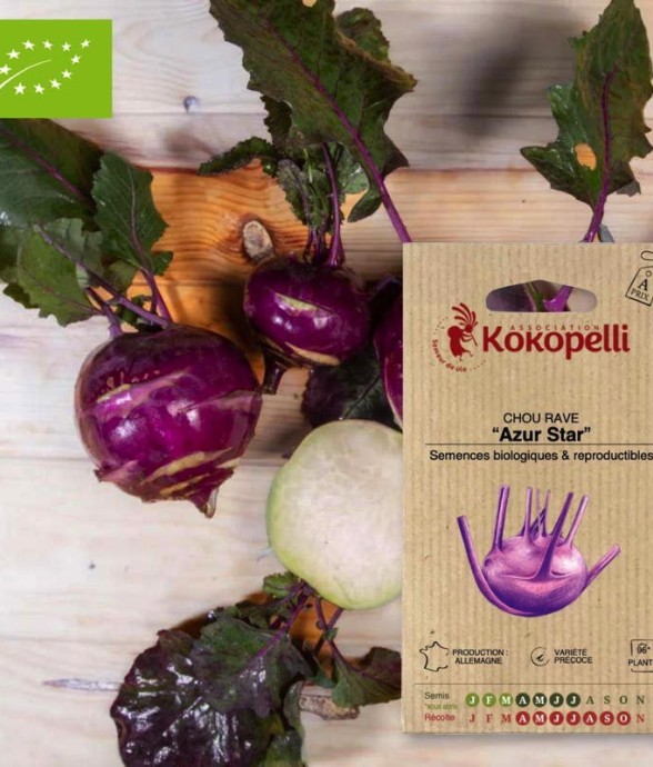 Graines bio à semer - Chou...