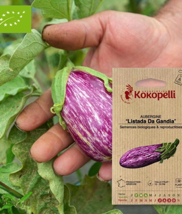 Graines bio à semer -...