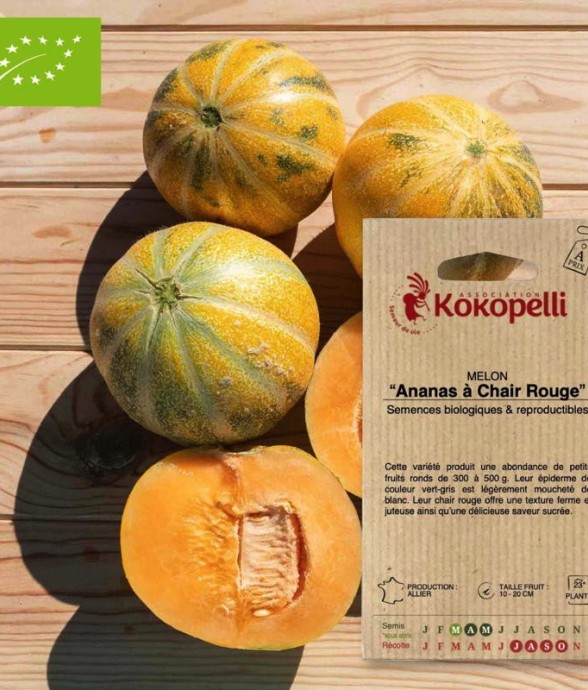 Graines bio à semer - Melon...