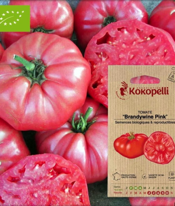 Graines bio à semer -...