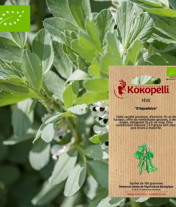 Graines bio à semer - Fève...