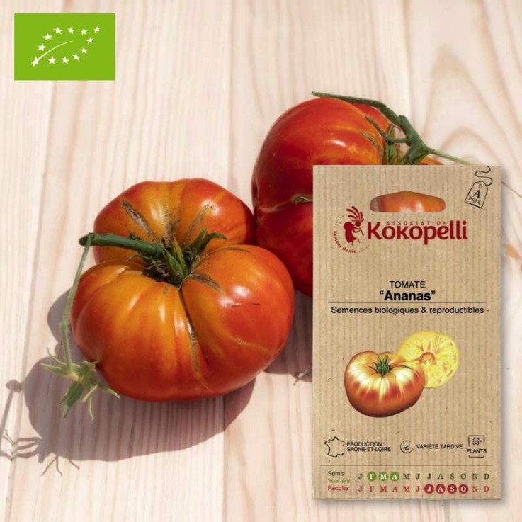 Graines bio à semer - Tomate bigarrée Ananas