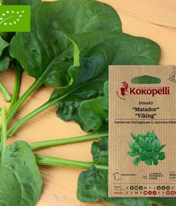 Graines bio à semer -...