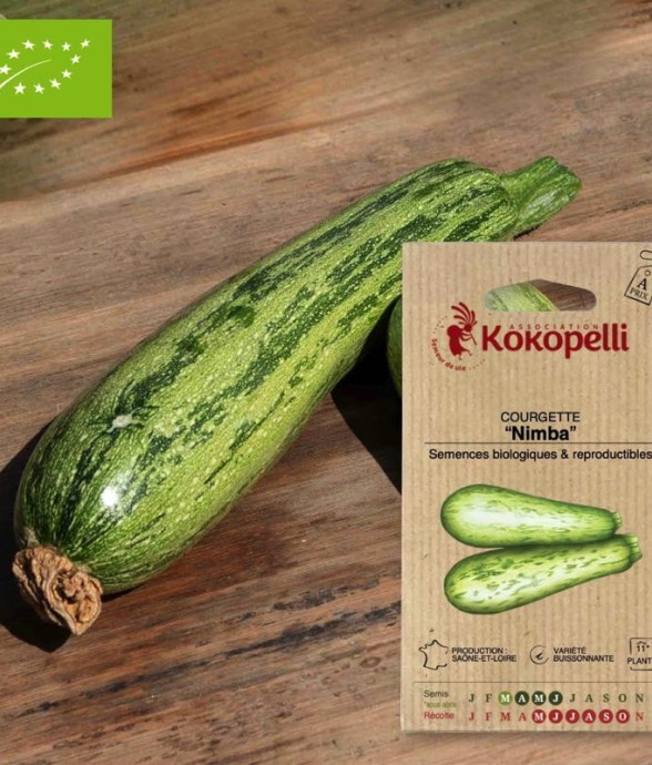 Graines bio à semer -...