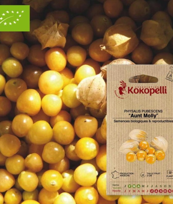 Graines bio à semer -...