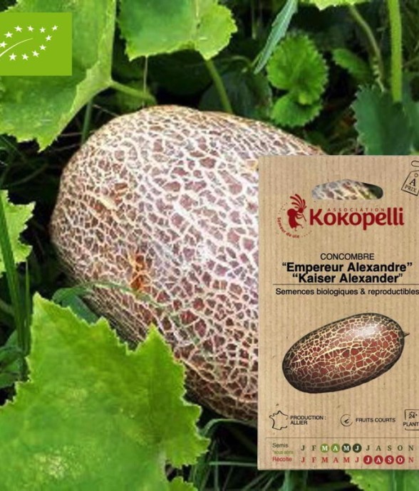 Graines bio à semer -...