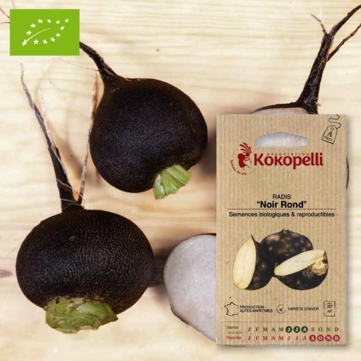Graines bio à semer - Radis Noir Rond