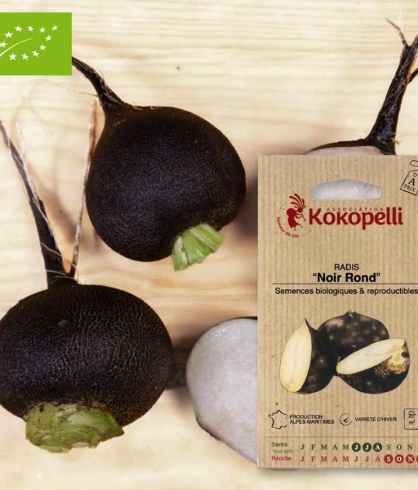 Graines bio à semer - Radis...