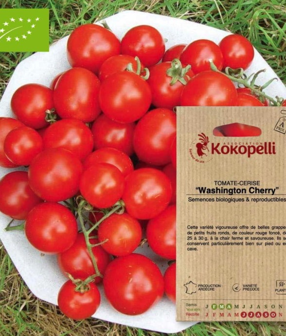 Graines bio à semer -...