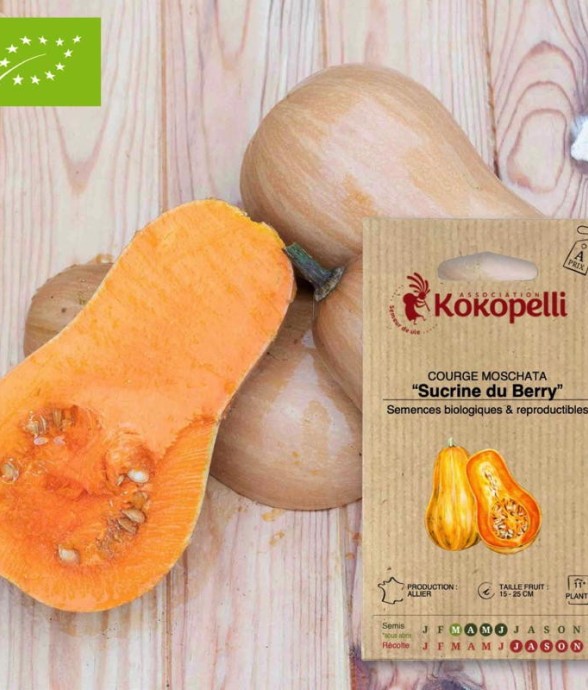 Graines bio à semer -...