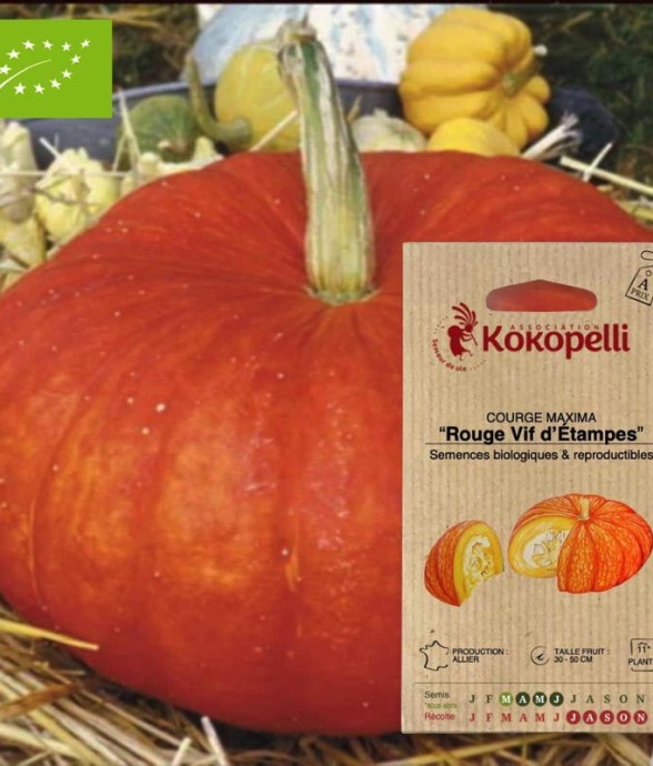 Graines bio à semer -...