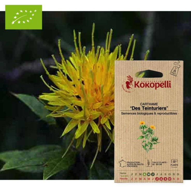 Carthame Carthame des teinturiers- Graines bio à semer