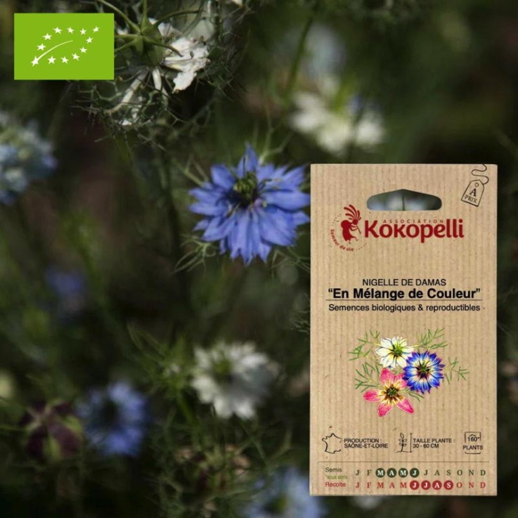 Nigelle de Damas En Mélange de Couleur- Graines bio à semer