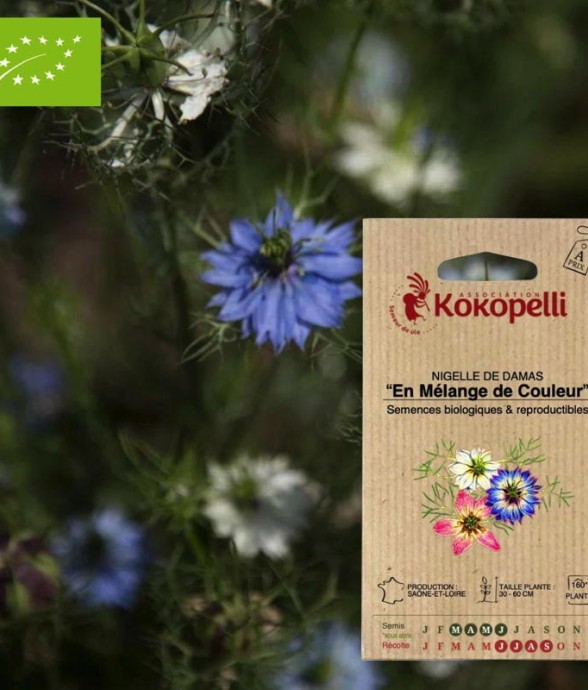 Nigelle de Damas En Mélange...