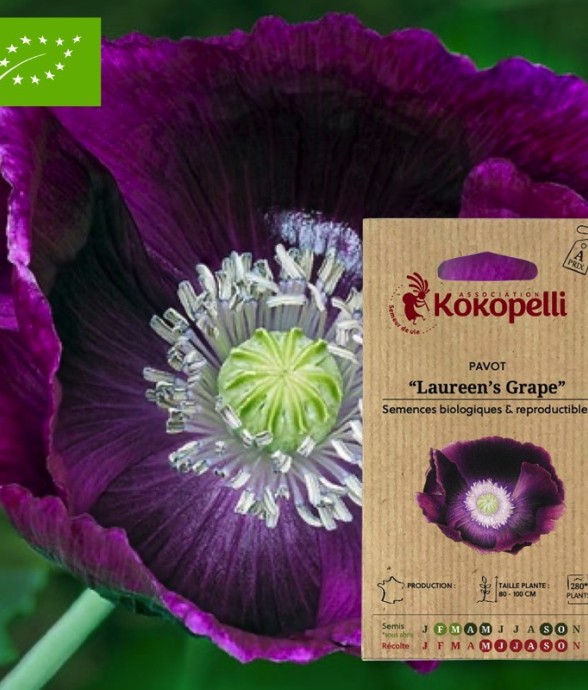 Pavot Laureen's Grape-...