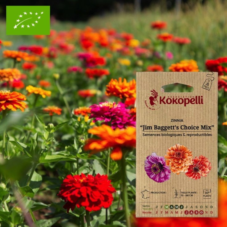 Zinnia Jim Baggett's Choice Mix- Graines bio à semer