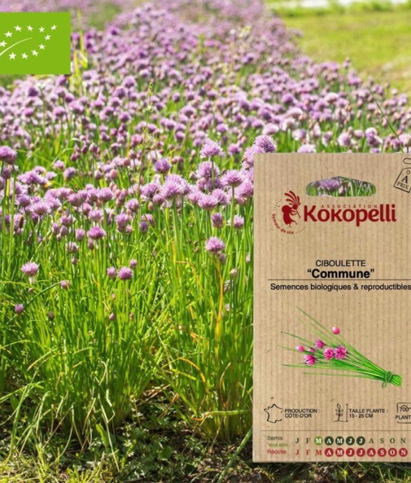 Graines bio à semer -...