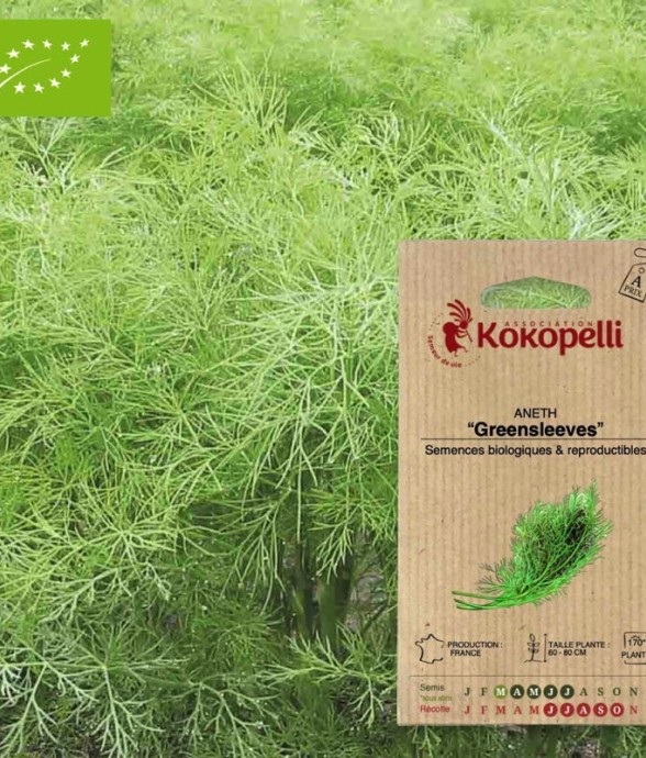 Graines bio à semer - Aneth...