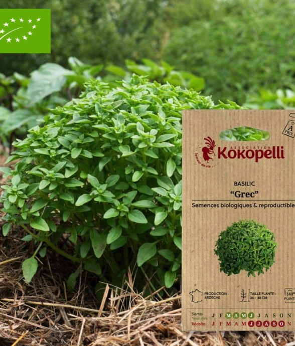 Graines bio à semer -...