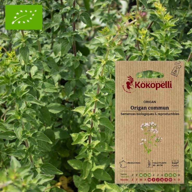 Graines bio à semer - Origan Commun