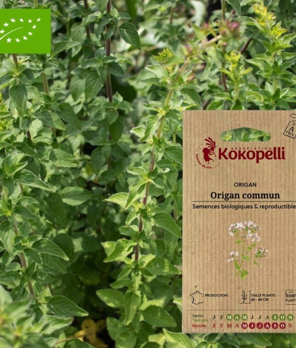 Graines bio à semer -...